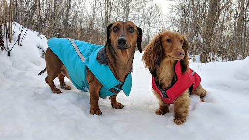 Val Caron Animal Hospital image
