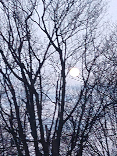 Park «Walter & Mary Burke Park», reviews and photos, 36300 Front St, New Baltimore, MI 48047, USA