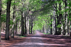 Staatsbosbeheer Wandelroute Stulp