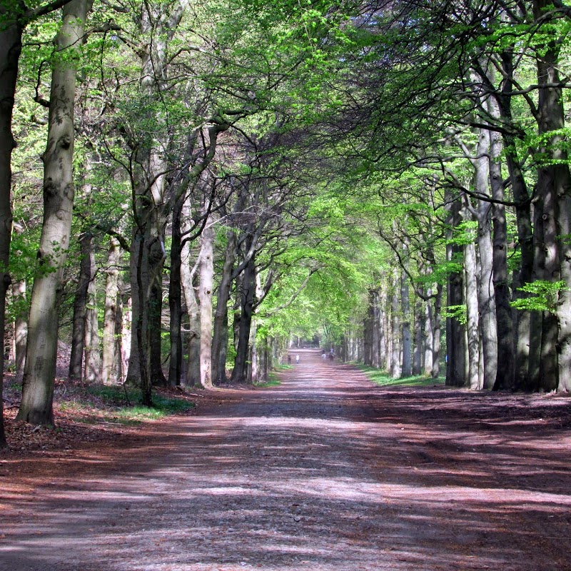 Staatsbosbeheer Wandelroute Stulp