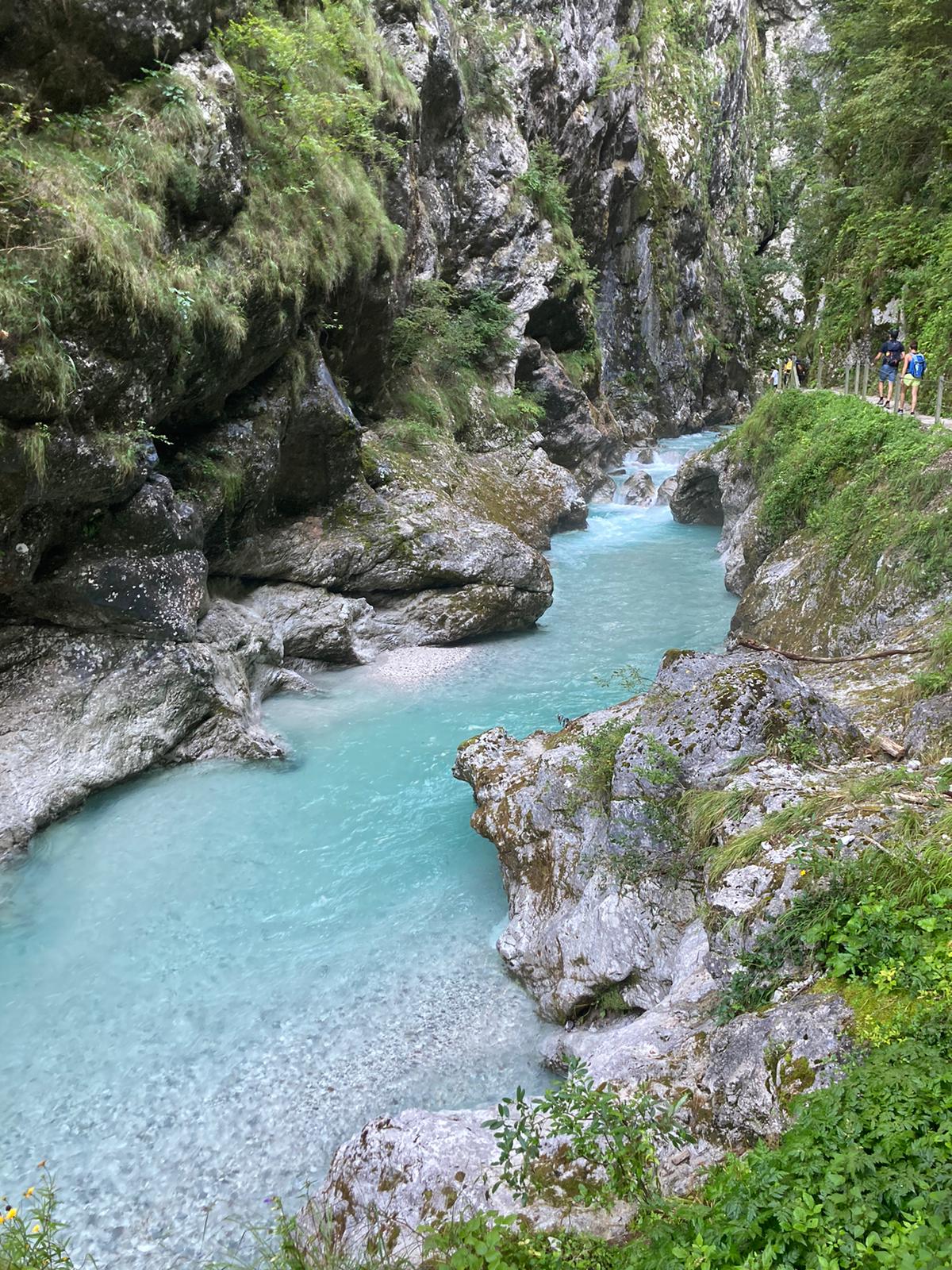 Photo n° 4 de l'avis de Émilie.a fait le 28/08/2023 à 14:19