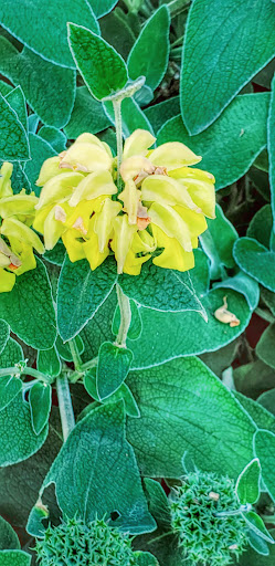 Park «Crown Valley Park / Laguna Niguel Parks & Recreation», reviews and photos, 29751 Crown Valley Pkwy, Laguna Niguel, CA 92677, USA