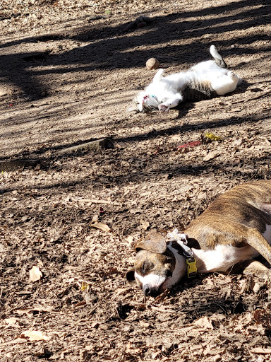 Four Paws Animal Hospital image