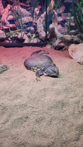 Science Museum «Science City», reviews and photos, 30 W Pershing Rd, Kansas City, MO 64108, USA