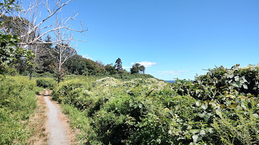 Hiking Area «Black Point Trailhead», reviews and photos, 655 Ocean Rd, Narragansett, RI 02882, USA