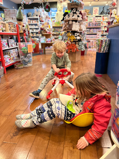 Toy Store «Shenanigans Toy Store», reviews and photos, 601 W Main St, Charlottesville, VA 22903, USA