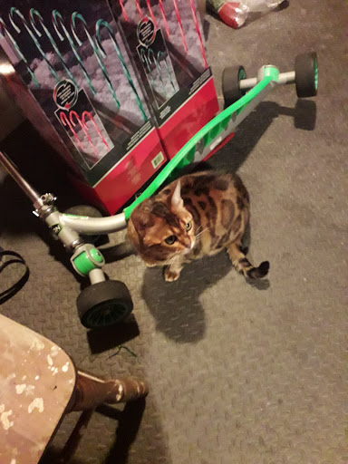 Pet Supply Store «Petco Animal Supplies», reviews and photos, 474 228th Ave NE, Sammamish, WA 98074, USA