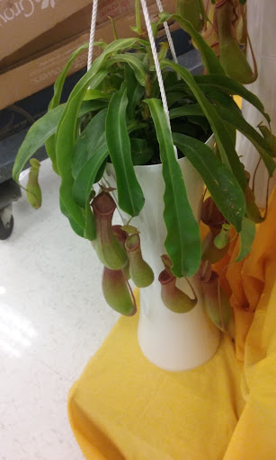 Supermarket «Price Chopper», reviews and photos, 1228 Oneill Hwy, Dunmore, PA 18512, USA