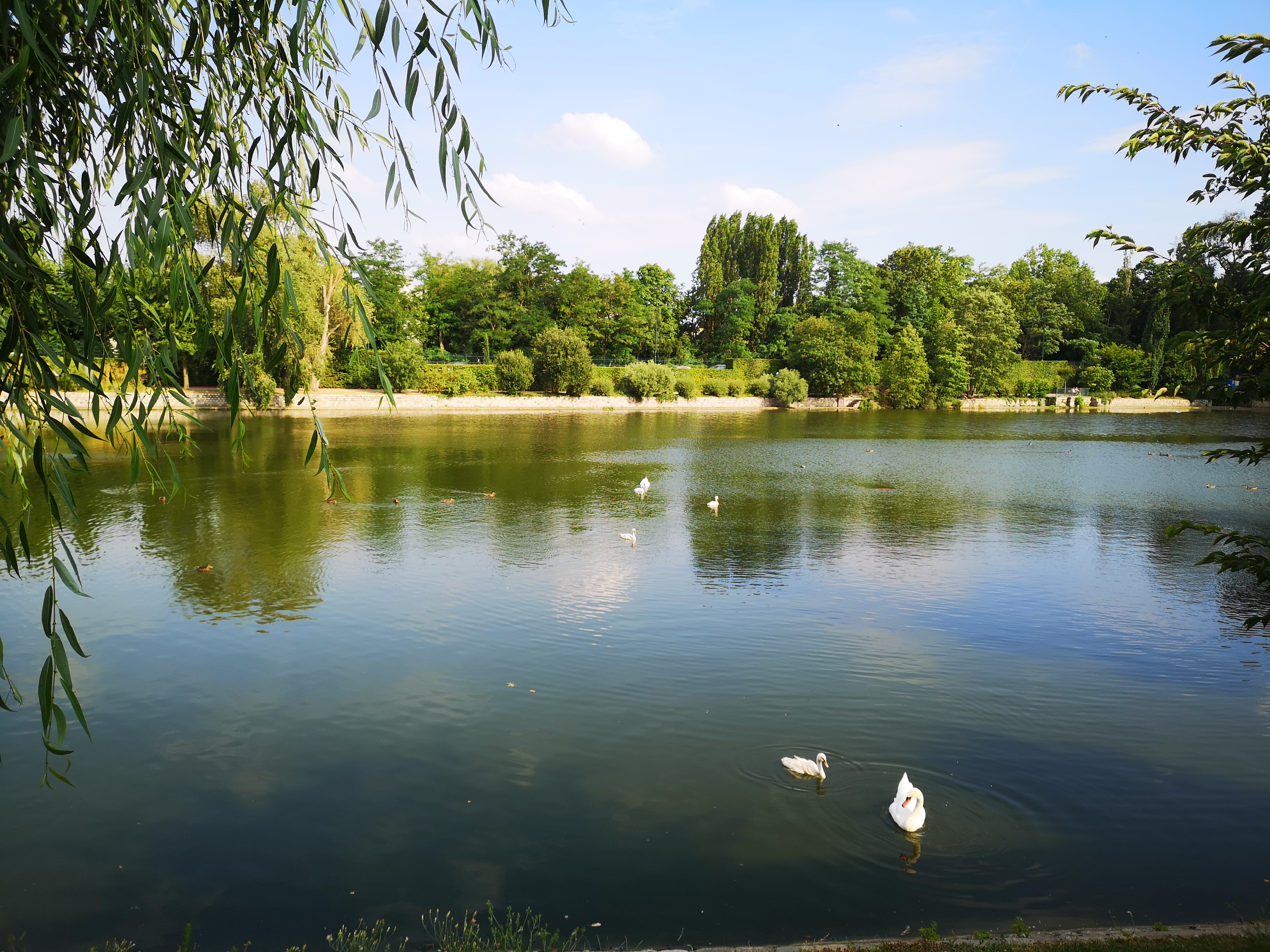 Photo n° 1 de l'avis de Adeline. fait le 08/07/2019 à 16:46