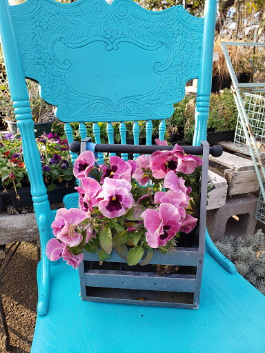 Landscaper «Wilson Landscape Nursery and Florist», reviews and photos, 14650 Bandera Rd, Helotes, TX 78023, USA