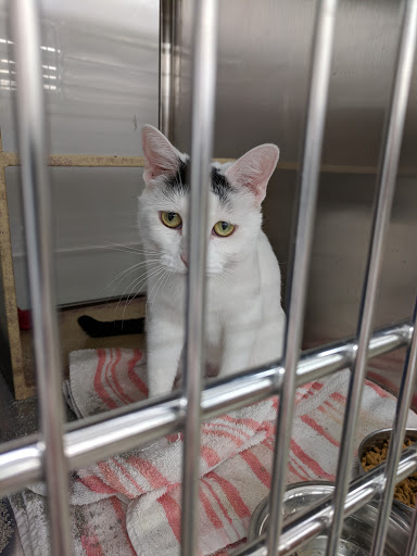 Pet Supply Store «PetSmart», reviews and photos, 10600 Melody Dr, Northglenn, CO 80234, USA