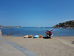 Port d'Avall beach'in fotoğrafı uçurumlarla desteklenmiş
