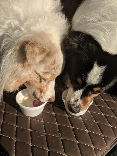 Dairy Farm «Sugar Hill Dairy», reviews and photos, 600 Pleasant St, Bridgewater, MA 02324, USA