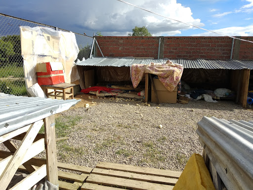 Sitios para adoptar gatos Cochabamba