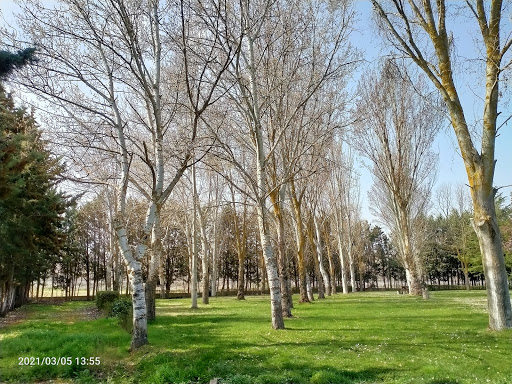 Cancha de tenis de Monzón de Campos en Monzón de Campos, Palencia