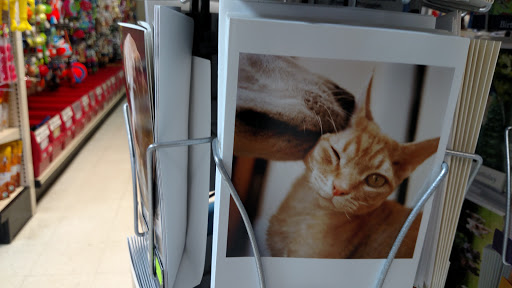 Pet Supply Store «Market Place Pet Supplies», reviews and photos, 7200 Dixie Hwy, Village of Clarkston, MI 48346, USA