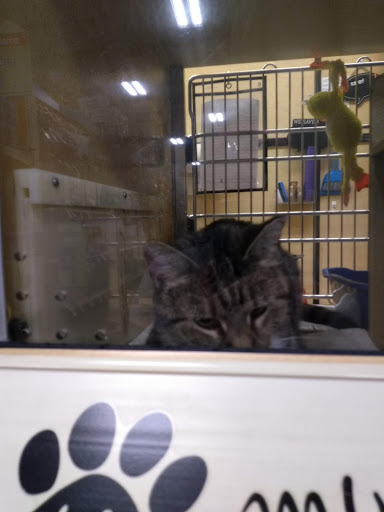 Pet Supply Store «PetSmart», reviews and photos, 637 Woodbury Glassboro Rd, Sewell, NJ 08080, USA