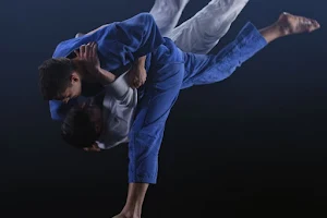 Ryu 't Gooi Sport image