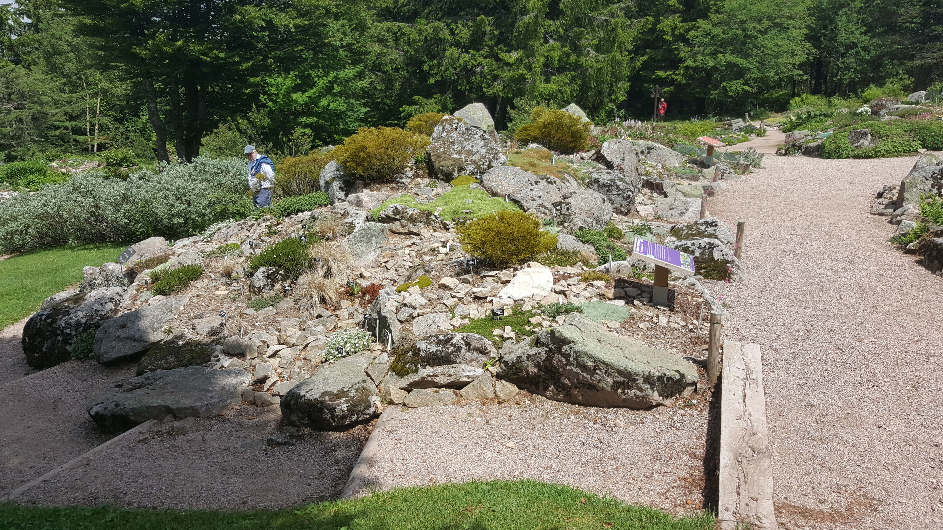 Photo n° 6 de l'avis de Jean-Sébastien.O fait le 23/06/2019 à 16:49