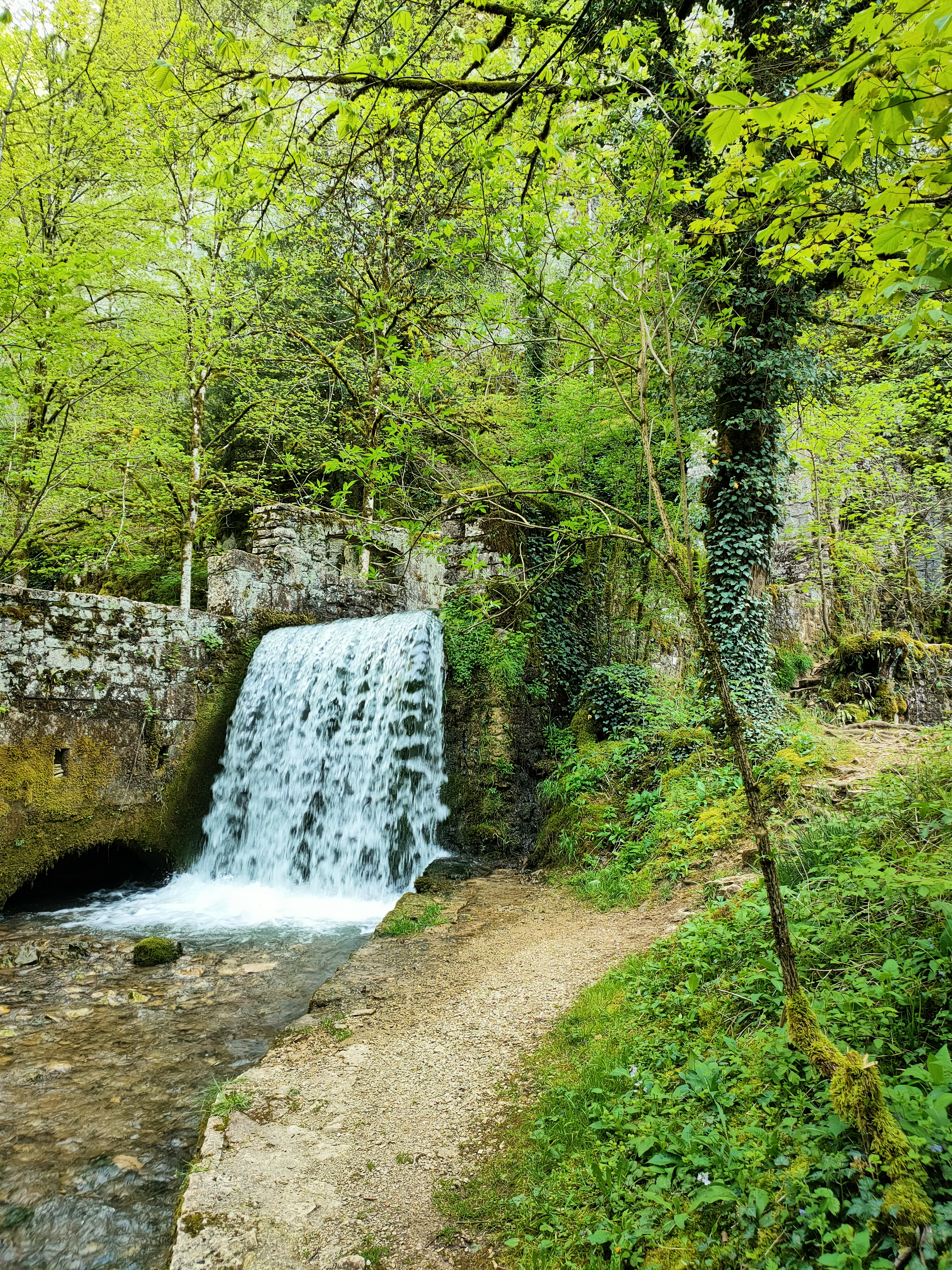Photo n° 12 de l'avis de Tchov. fait le 29/04/2023 à 17:37