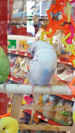 Pet Supply Store «Petco Animal Supplies», reviews and photos, 4012 W 27th Ave, Kennewick, WA 99337, USA