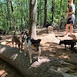 Quarry Run Dog Park