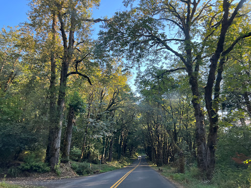 Tourist Attraction «Wahkeena Falls», reviews and photos, Wahkeena Trail #420, Corbett, OR 97019, USA