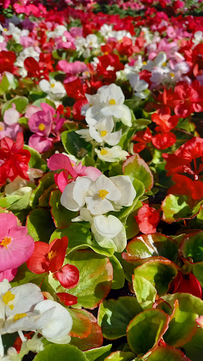 Home Improvement Store «The Home Depot», reviews and photos, 3838 Hollis Avenue, Emeryville, CA 94608, USA