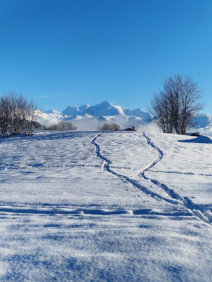 SPORT 2000 LE SPOT DU PRAZ - Location ski Le Praz de Lys à Taninges