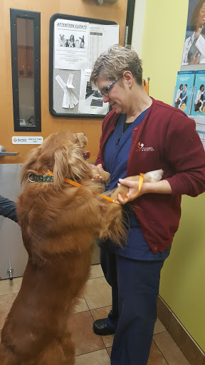 Pet Supply Store «PetSmart», reviews and photos, 1276 Bald Hill Rd, Warwick, RI 02886, USA