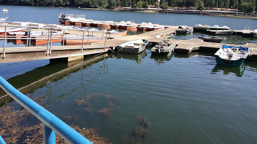 Water Park «Lake Gregory Regional Park», reviews and photos, 24171 Lake Dr, Crestline, CA 92325, USA