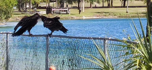 Park «Amelia Earhart Park», reviews and photos, 401 E 65th St, Hialeah, FL 33013, USA