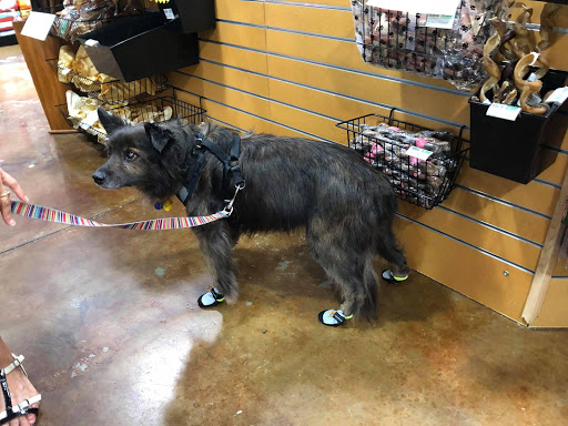 Pet Supply Store «Dog Gone Holistic-FishHawk», reviews and photos, 5620 Fishhawk Crossing Blvd, Lithia, FL 33547, USA