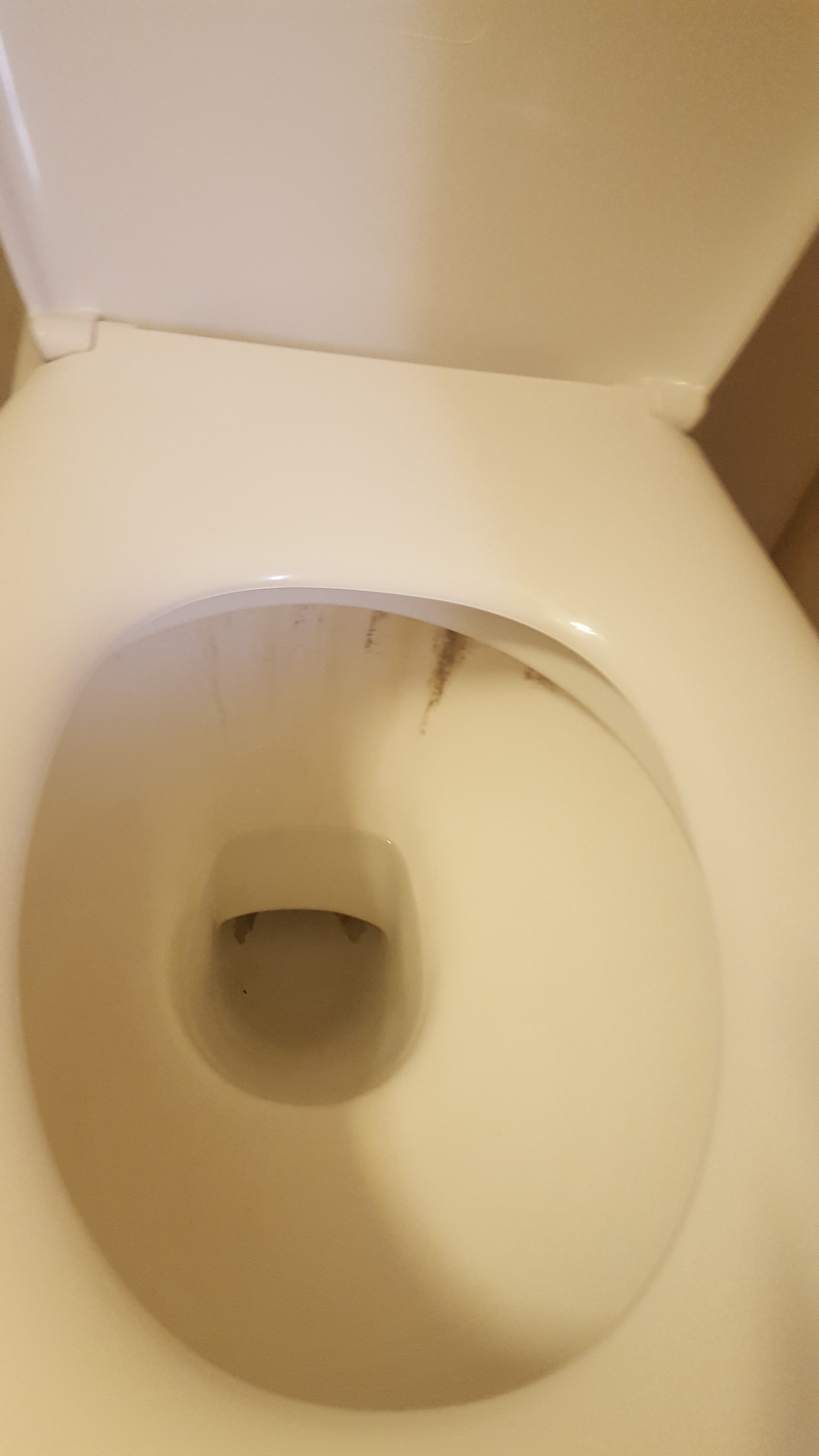 Photo n° 6 de l'avis de Wendy.e fait le 12/08/2018 à 16:29