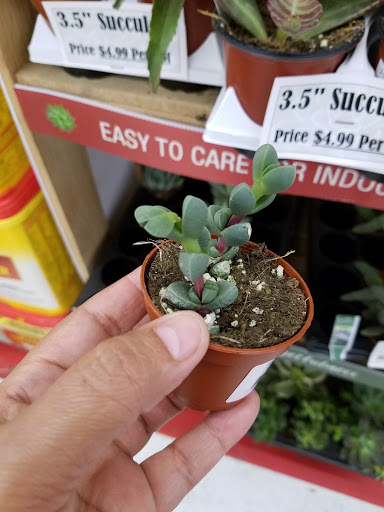 Home Improvement Store «Tractor Supply Co.», reviews and photos, 1740 N Belt Line Rd, Mesquite, TX 75149, USA