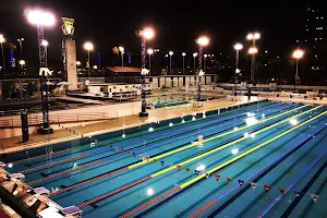 Metropole Swimming Club image