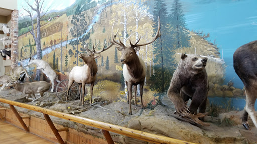 Hunting and Fishing Store «Woods & Water Inc», reviews and photos, 5101 Summit Ridge, Tuscaloosa, AL 35405, USA