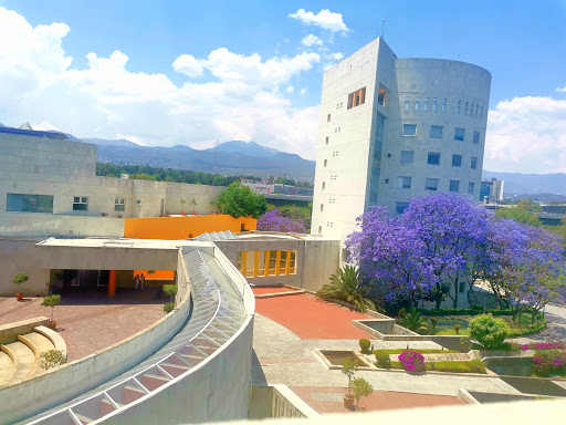 Clinicas rehabilitacion neurologica Ciudad de Mexico