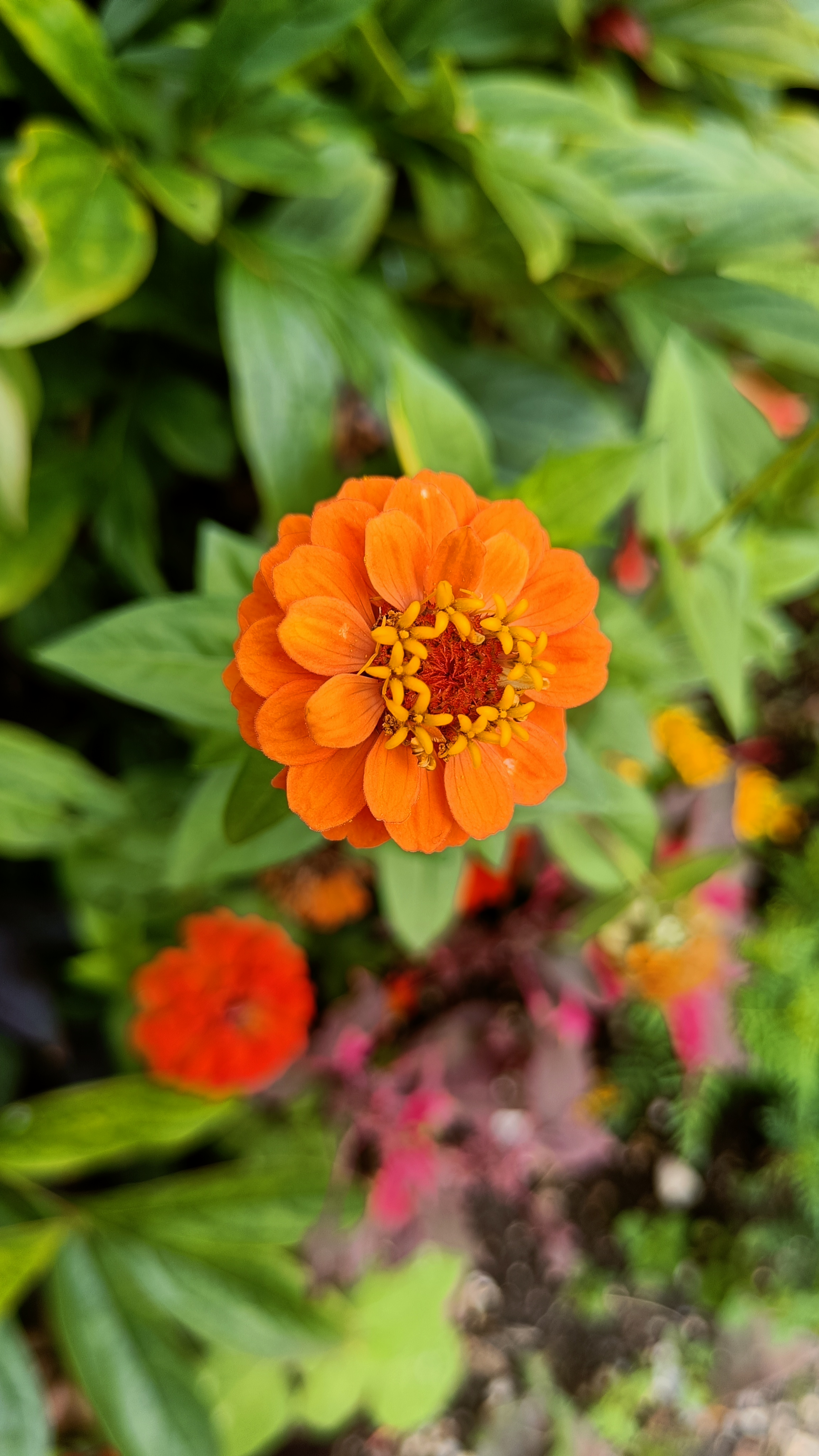 Photo n° 7 de l'avis de Eliot.o fait le 28/07/2023 à 16:35