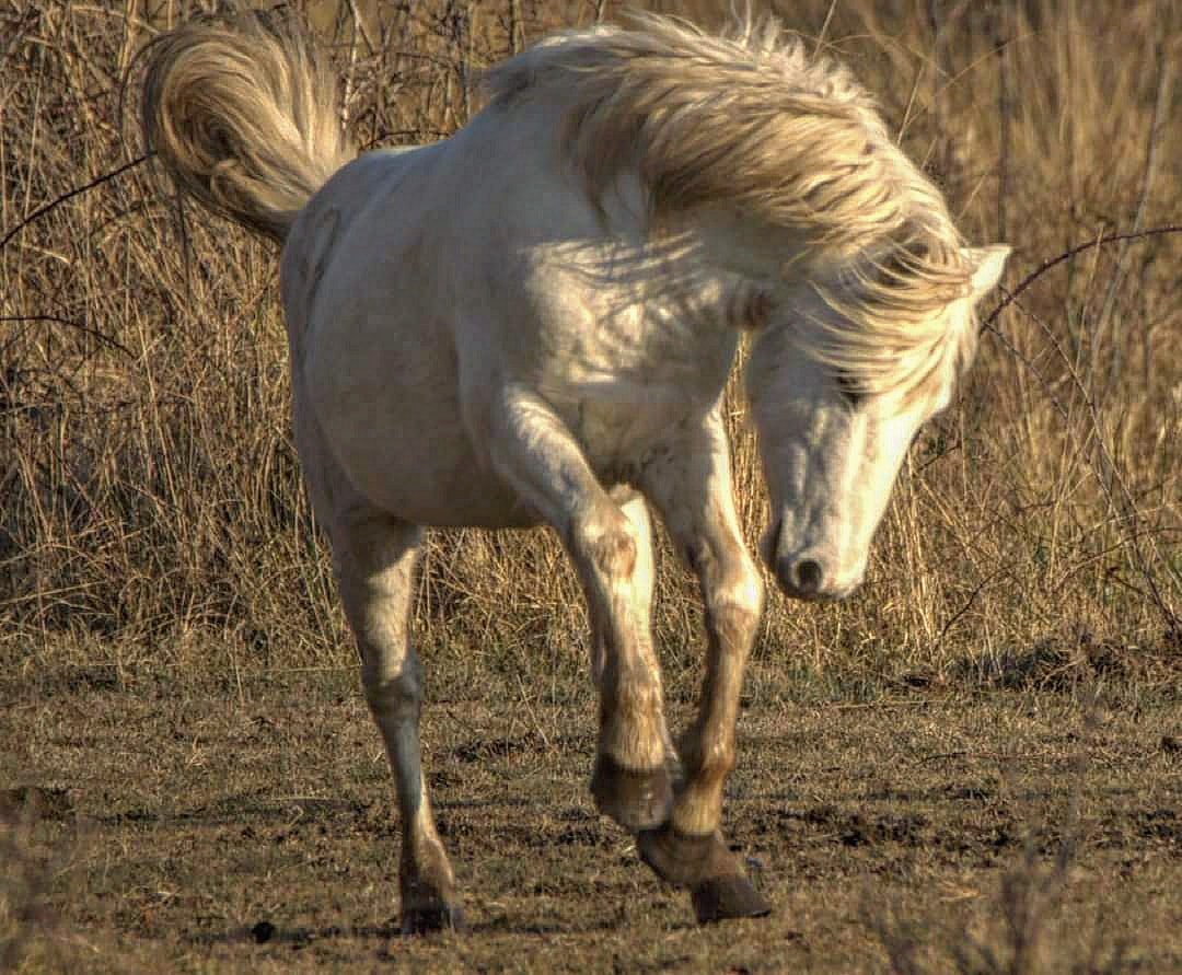 Photo n° 4 de l'avis de agnes.e fait le 15/04/2022 à 06:31