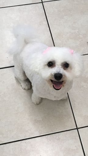 Pet Groomer «Mario`s Pet Grooming & Boutique», reviews and photos, 708 SE 17th St, Fort Lauderdale, FL 33316, USA