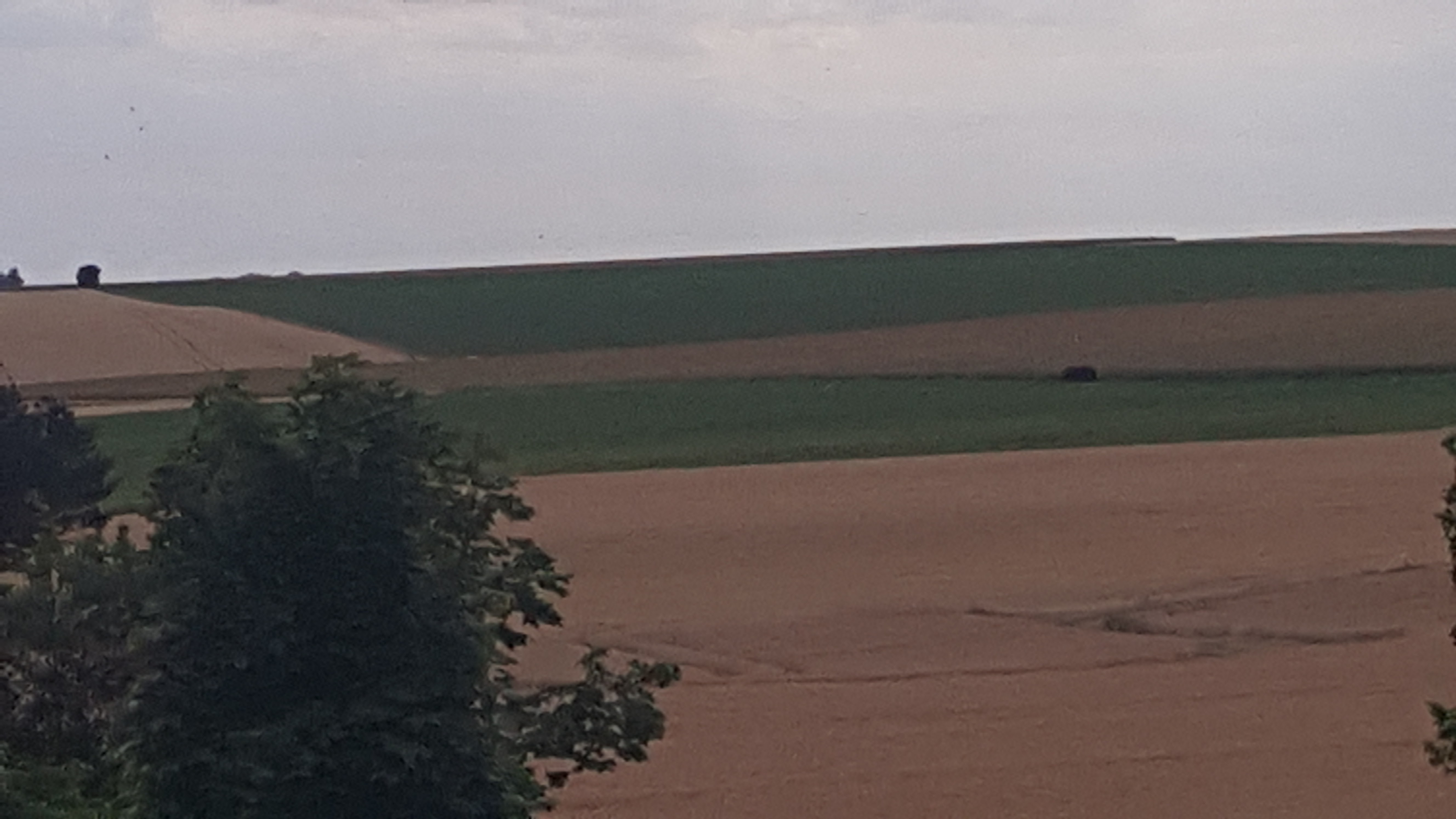 Photo n° 1 de l'avis de Stephane.u fait le 02/08/2017 à 11:05