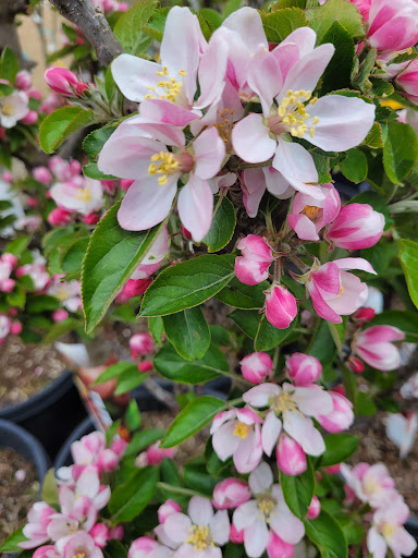 Home Improvement Store «The Home Depot», reviews and photos, 1650 SE Ensign Ln, Warrenton, OR 97146, USA