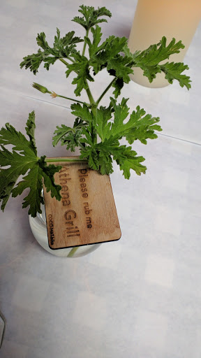 Greek Restaurant «Athena Grill & Catering», reviews and photos, 1505 Space Park Dr, Santa Clara, CA 95054, USA