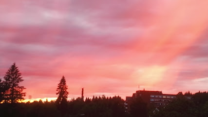 Kongsvinger Park AS