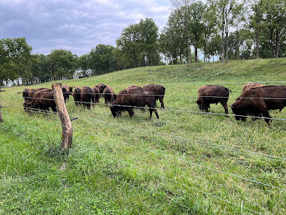 Green Plains Bison Ranch