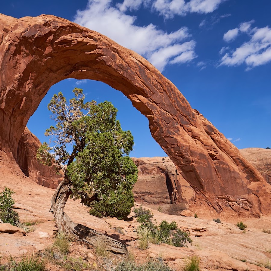 Corona Arch