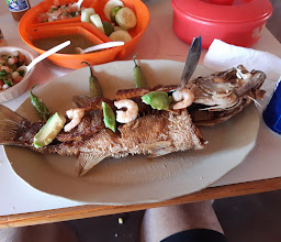 Pescado frito de la seis photo