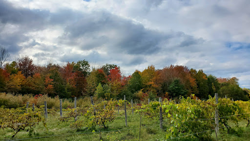 Vineyard «Miranda Vineyard», reviews and photos, 42 Ives Rd, Goshen, CT 06756, USA