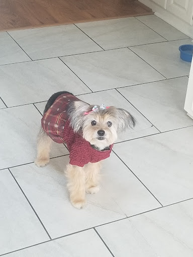 Pet Supply Store «Petco Animal Supplies», reviews and photos, 1298 W Granada Blvd #100, Ormond Beach, FL 32174, USA